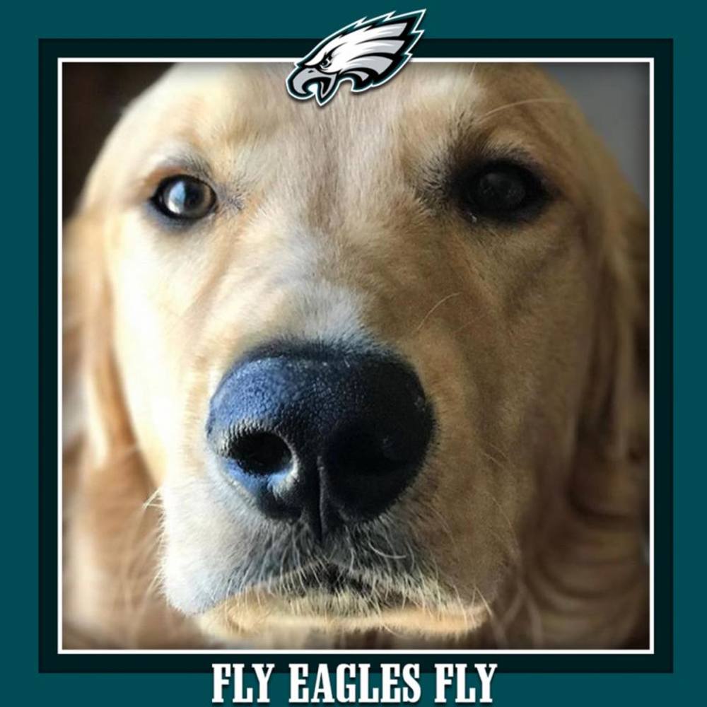 Meet your Posher, Marisa